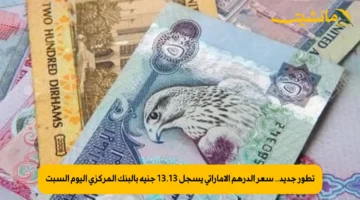 تطور جديد.. سعر الدرهم الإماراتي يسجل 13.13 جنيه بالبنك المركزي اليوم السبت